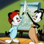 Yakko and Wakko High Five