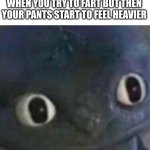 *very clever title here* | WHEN YOU TRY TO FART BUT THEN YOUR PANTS START TO FEEL HEAVIER | image tagged in toothless blank stare | made w/ Imgflip meme maker