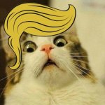 Scaredy Cat Trump