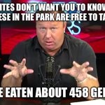 Isn’t this what the Alex Jones meme meant all along? | THE ELITES DON’T WANT YOU TO KNOW THIS BUT THE GEESE IN THE PARK ARE FREE TO TAKE AND EAT; I’VE EATEN ABOUT 458 GEESE | image tagged in alex jones | made w/ Imgflip meme maker