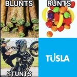 Blunts runts stunts | image tagged in blunts runts stunts | made w/ Imgflip meme maker