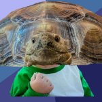 Turtle success kid