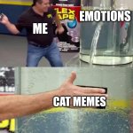 Flex Tape | EMOTIONS; ME; CAT MEMES | image tagged in flex tape | made w/ Imgflip meme maker