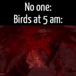 Shut the f up, birds!! | No one:
Birds at 5 am: | image tagged in gifs,memes,funny,birds | made w/ Imgflip video-to-gif maker