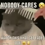 A clever title for my gif. | image tagged in gifs,cats,animals,memes,fade,haircut | made w/ Imgflip video-to-gif maker