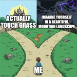 Two Paths | IMAGINE YOURSELF IN A BEAUTIFUL MOUNTAIN LANDSCAPE; ACTUALLY TOUCH GRASS; ME | image tagged in two paths | made w/ Imgflip meme maker