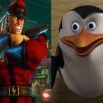 m bison penguin