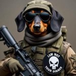 Tactical Dog