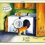 Larson Cat Fud template