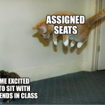 cat pounce | ASSIGNED SEATS; ME EXCITED TO SIT WITH FRIENDS IN CLASS | image tagged in cat pounce | made w/ Imgflip meme maker