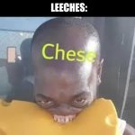 Chese | IF ROCKS WERE CHEESE:; LEECHES: | image tagged in chese | made w/ Imgflip meme maker