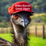 Make Burnie Great Again