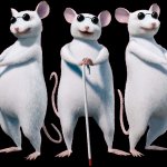 3 blind mice