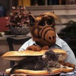 Alf