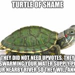 Turtle of shame meme