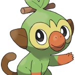 Grookey