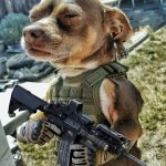 Dog with gun