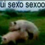 sexo sexooo