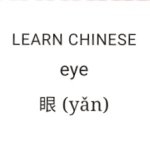 Eye | yăn