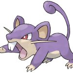 Rattata