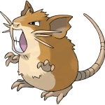 Raticate