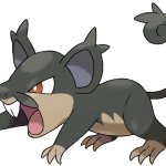 Alolan Rattata