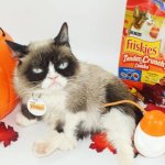 Grumpy cat halloween food