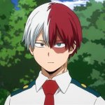 Todoroki Shoto