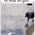 We Rise By Lifting Others | image tagged in gifs,we rise by lifting others | made w/ Imgflip video-to-gif maker