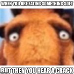 distressed manfred | WHEN YOU ARE EATING SOMETHING SOFT; BUT THEN YOU HEAR A CRACK | image tagged in distressed manfred | made w/ Imgflip meme maker