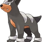 Houndour