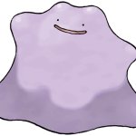 Ditto