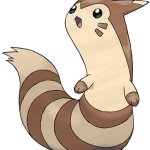 Furret