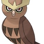 Noctowl