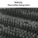 War. | Nobody: 
Sea turtles being born: | image tagged in gifs,sea turtles | made w/ Imgflip video-to-gif maker