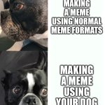 paint.net help creates masterpieces | MAKING A MEME USING NORMAL MEME FORMATS; MAKING A MEME USING YOUR DOG | image tagged in doge hotline bling,drake hotline bling,doggo,dog,idk,oh wow are you actually reading these tags | made w/ Imgflip meme maker