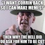 Pov the SSB fandom in the future: | "I WANT CORRIN BACK SO I CAN MAKE MEMES!"; THEN WHY THE HELL DID YOU ASK FOR HIM TO BE CUT? | image tagged in stop complaining | made w/ Imgflip meme maker