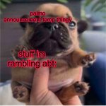 Pug temp meme