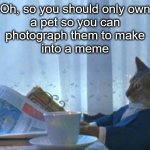 The only reason for pets | Oh, so you should only own
a pet so you can
photograph them to make
into a meme | image tagged in memes,i should buy a boat cat,turn into meme,pet,reason | made w/ Imgflip meme maker