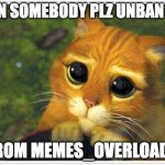 Shrek Cat | CAN SOMEBODY PLZ UNBAN ME; FROM MEMES_OVERLOAD? | image tagged in memes,shrek cat,funny,memes_overload,plz,please | made w/ Imgflip meme maker