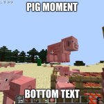 pig | PIG MOMENT; BOTTOM TEXT | image tagged in pig | made w/ Imgflip meme maker