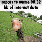 Repost to waste 98.32 kb of internet data meme