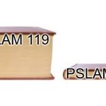 Just read Psalm 119 all the way through... | PSLAM 119; PSLAM 117 | image tagged in big book small book,fun,books | made w/ Imgflip meme maker