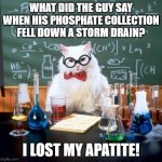 Chemistry Cat | WHAT DID THE GUY SAY WHEN HIS PHOSPHATE COLLECTION FELL DOWN A STORM DRAIN? I LOST MY APATITE! | image tagged in memes,chemistry cat,geology,chemistry | made w/ Imgflip meme maker