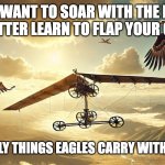 Soaring with Eagles | IF YOU WANT TO SOAR WITH THE EAGLES YOU HAD BETTER LEARN TO FLAP YOUR OWN WINGS; BECAUSE THE ONLY THINGS EAGLES CARRY WITH THEM ARE DEAD. | image tagged in soaring with eagles,aspiring,funny meme,soaring,eagles | made w/ Imgflip meme maker