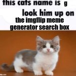 also do it when your parents are next to you | g; the imgflip meme generator search box | image tagged in this cats name is blank | made w/ Imgflip meme maker