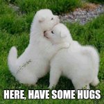 Hugging puppies | HERE, HAVE SOME HUGS | image tagged in hugging puppies | made w/ Imgflip meme maker