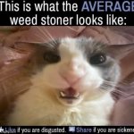 This is what the average weed stoner looks like