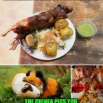 Funny | WHEN YOU REALLY THINK ABOUT IT, THE THIRD WORLD IMMIGRANTS ARE NOT EATING PETS. THE GUINEA PIGS YOU BUY AT PETSMART, THEY HAVE THEM RUNNING AROUND THE MOUNTAINS AS NATIVE RODENTS THERE. | image tagged in funny,food,immigrants,pets,eating,mountains | made w/ Imgflip meme maker