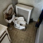 Broken Toilet